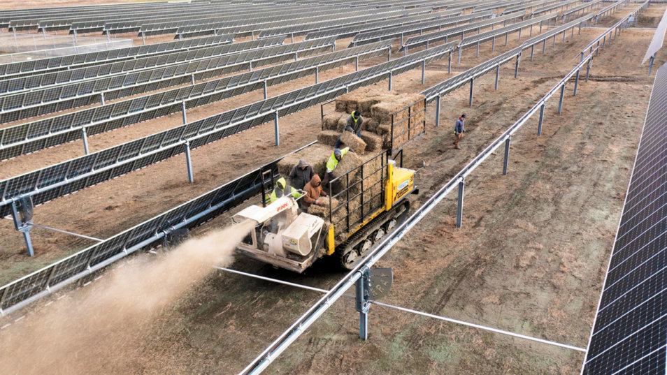 Terramac blowing straw on solar farm